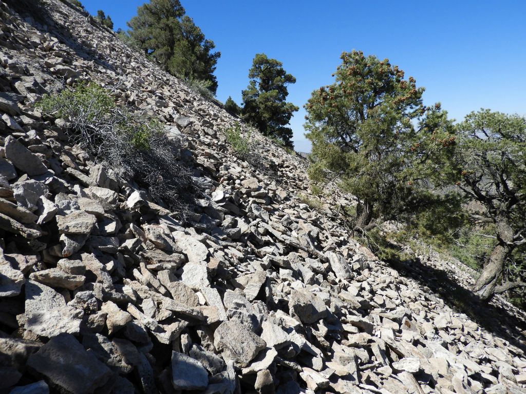 This true perspective angle shows how challenging climbing the scree really is: