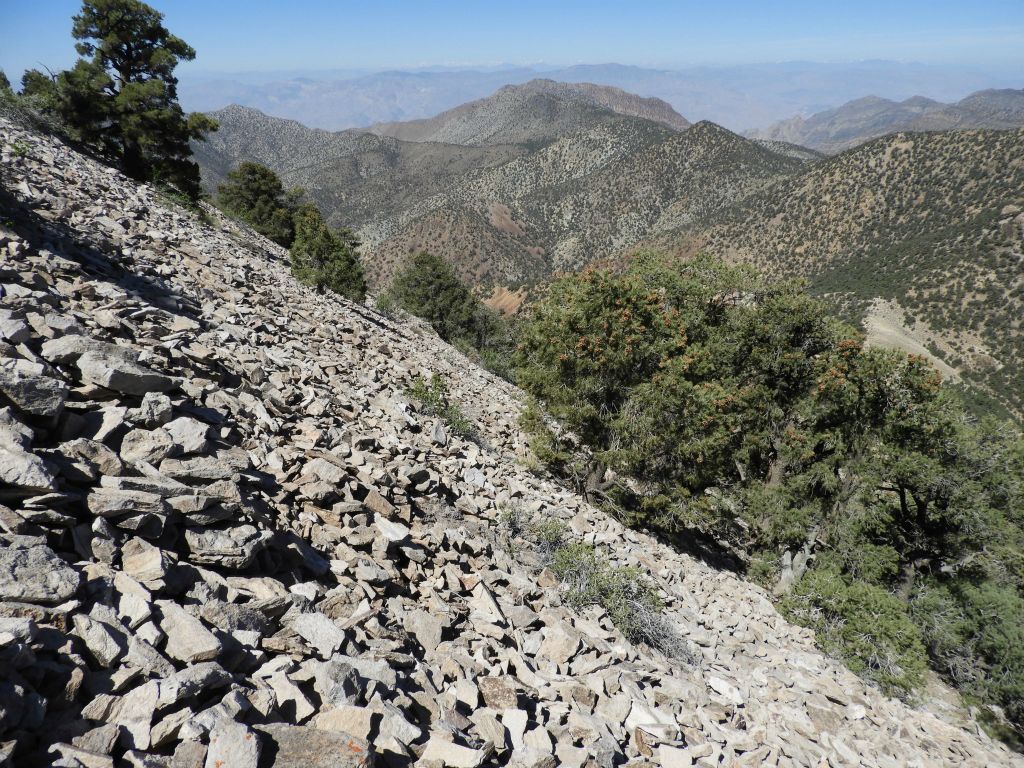 Looking across the steep slope toward the Palmer ridgeline, Cottonwoods, and distant Sierras which were now visible: