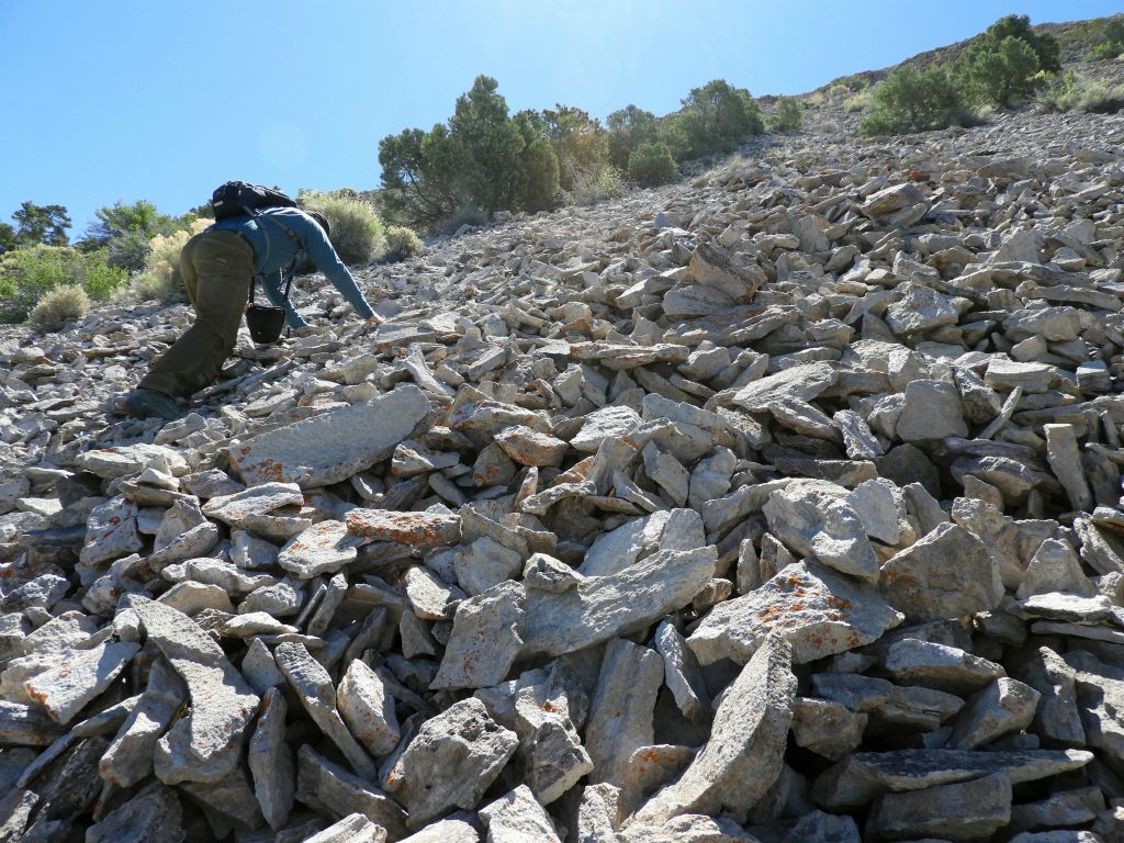Tobin struggling mightily to deal with the nonstop barrage of loose scree: