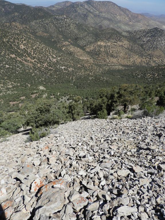 It took us considerable time and effort just to make it up a small section with all the sliding backwards and small landslides our steps would cause: