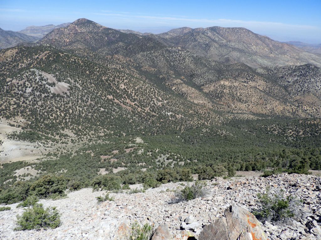Grapevine Peak and Coyote BM dominate the landscape of the northern Grapevines: