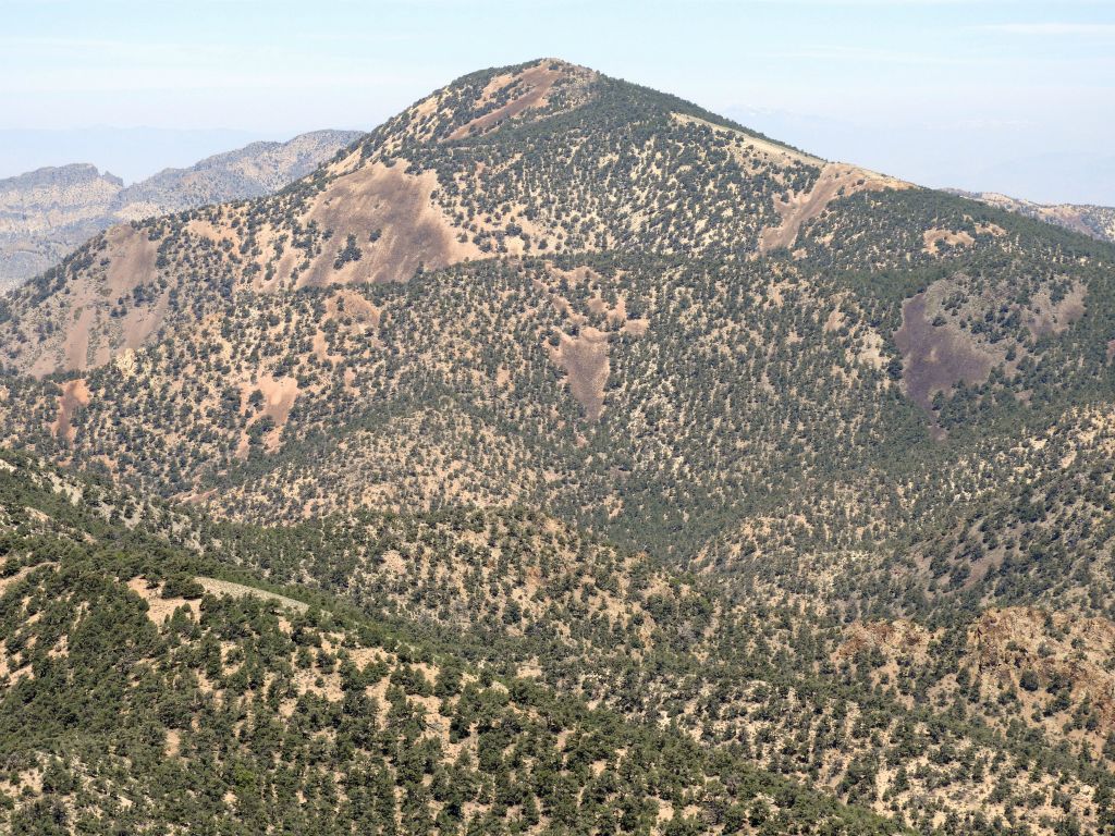 Taking a closer look at the slopes of Grapevine Peak as seen from this vantage point:
