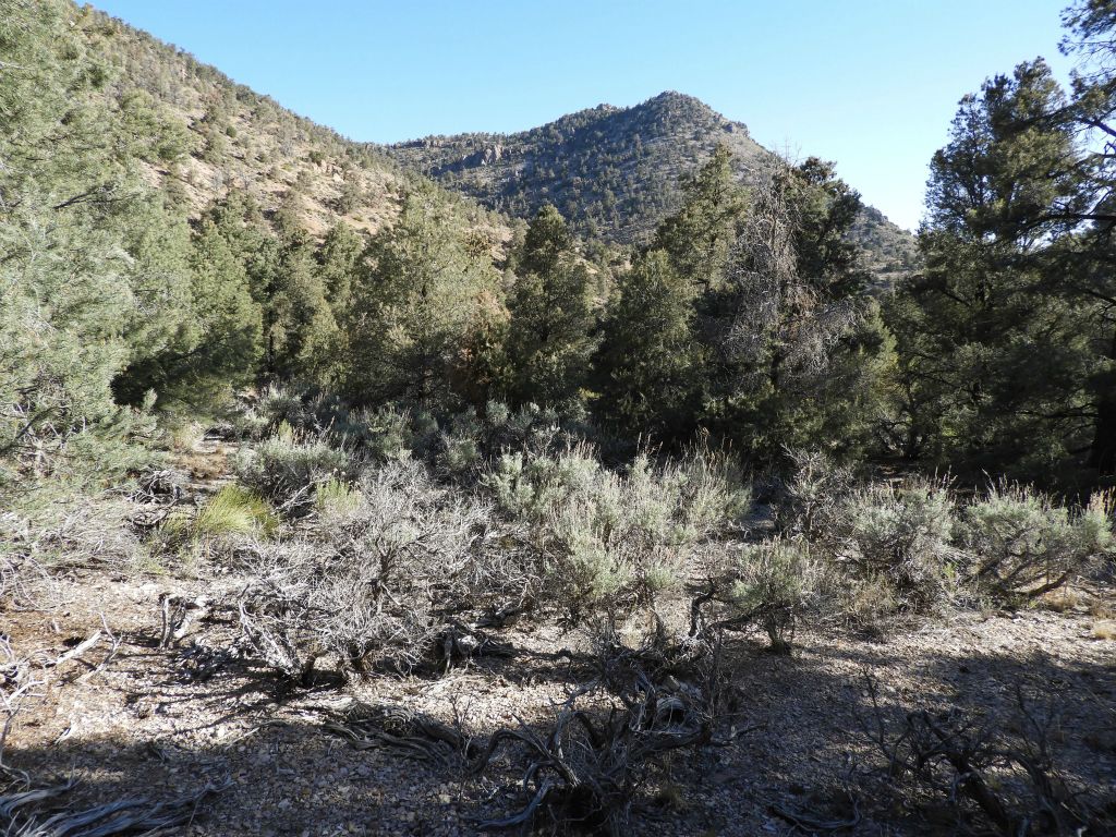 This is the first picture of the actual hike.  Here we have entered the side canyon which splits off from the road and trends generally south: