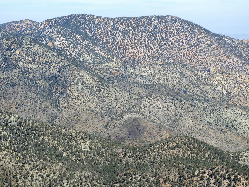 Coyote BM is the right side peak.  An interesting note about Coyote BM is that the left side peak is actually 2 feet higher in elevation than the main named peak: