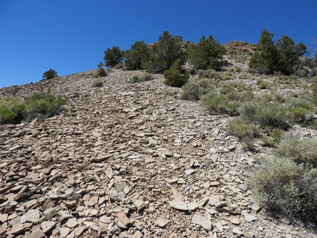 The difficulty never let up until we finally reached the summit ridgeline, seen up ahead:
