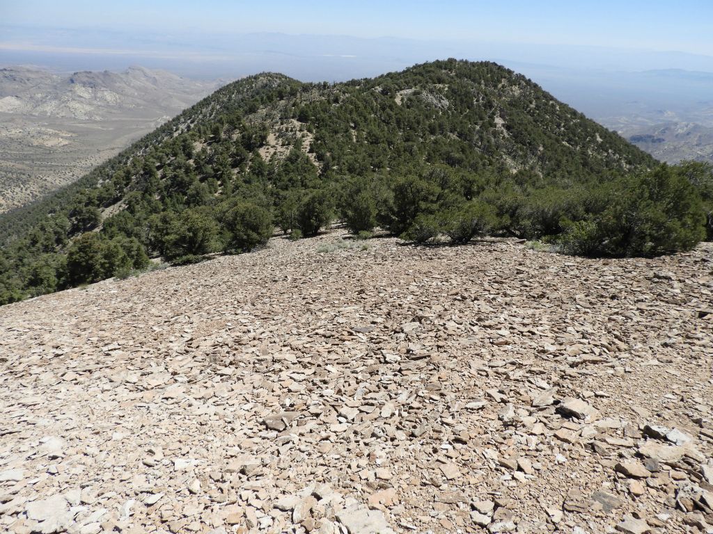 Looking northeast at a couple of prominent bumps along the summit ridgeline: