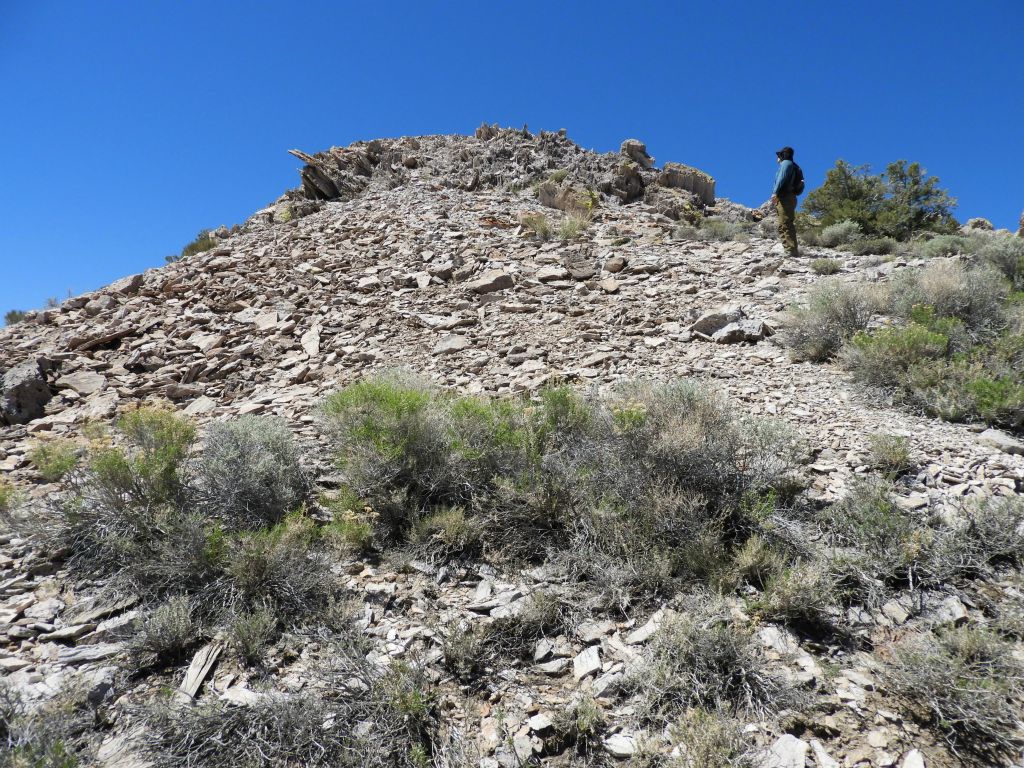 Tobin nearly to the summit.  All that is left is to climb through the steep outcroppings seen here: