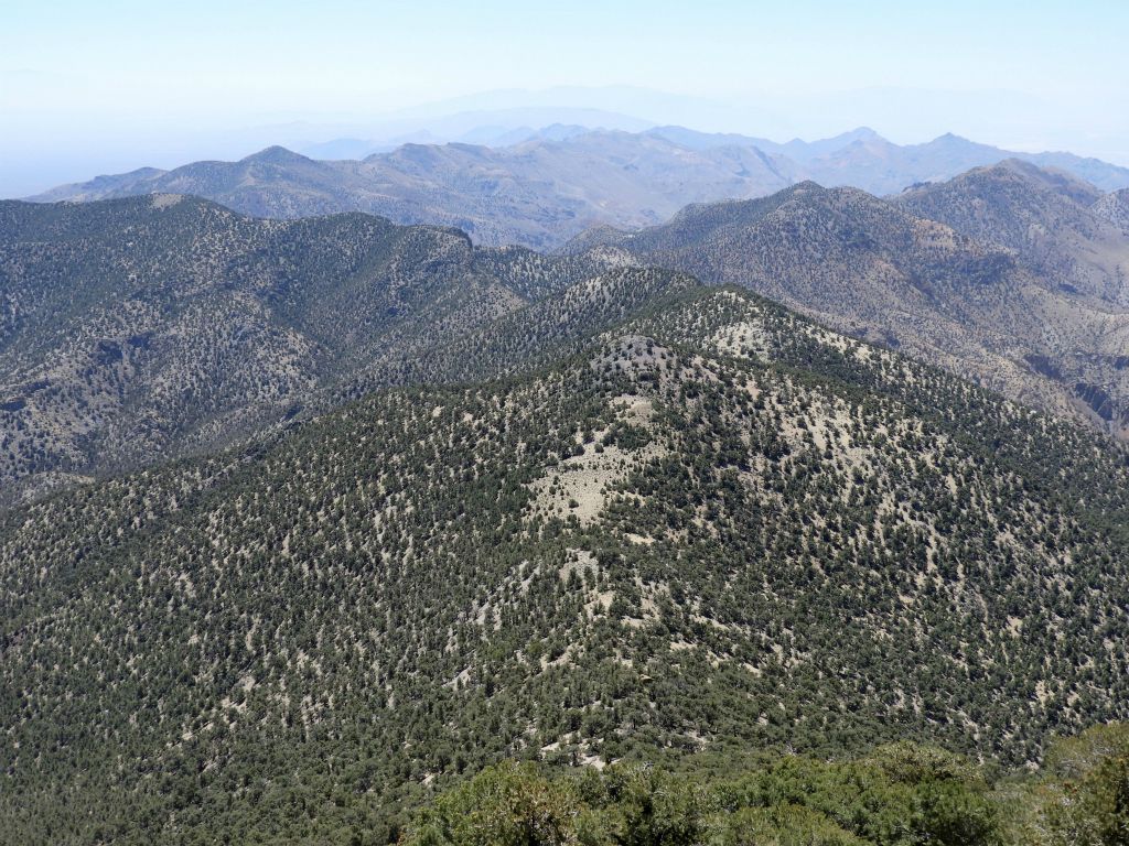 View to the southeast showing the southern Grapevine Mountains: