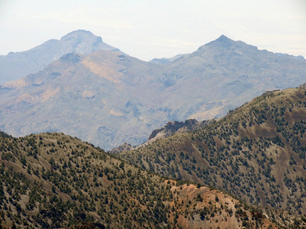 Two major Grapevines summits can be seen side by side here.  They are Corkscrew Peak and Thimble Peak: