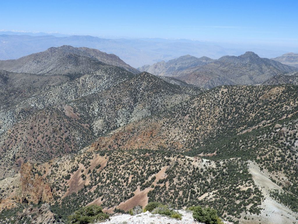 View directly to the west shows more of the long ridge route leading to Mount Palmer as well as an unnamed prominent peak (right side) which divides Moonlight Canyon and Backthrust Canyon:
