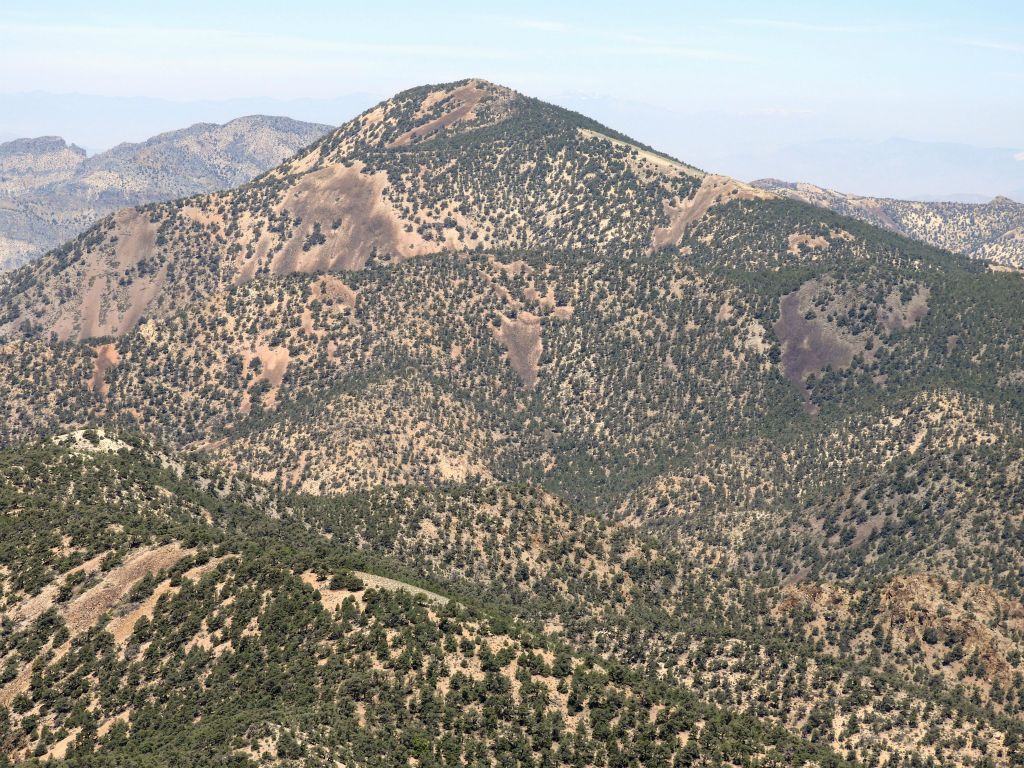Grapevine Peak is only about 3 air miles away from Wahguyhe Peak: