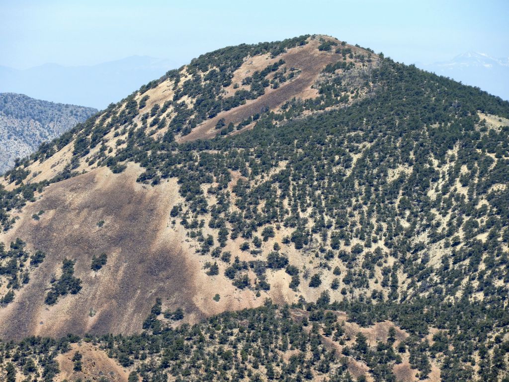 Grapevine Peak can be identified easily because of the colorful rock slide patterns on the south side of the mountain: