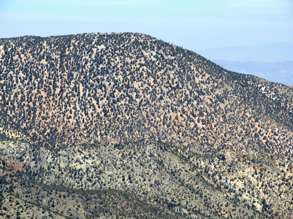 Coyote BM is currently the top summit hike on my To-Do List, which I hope to get to later this year: