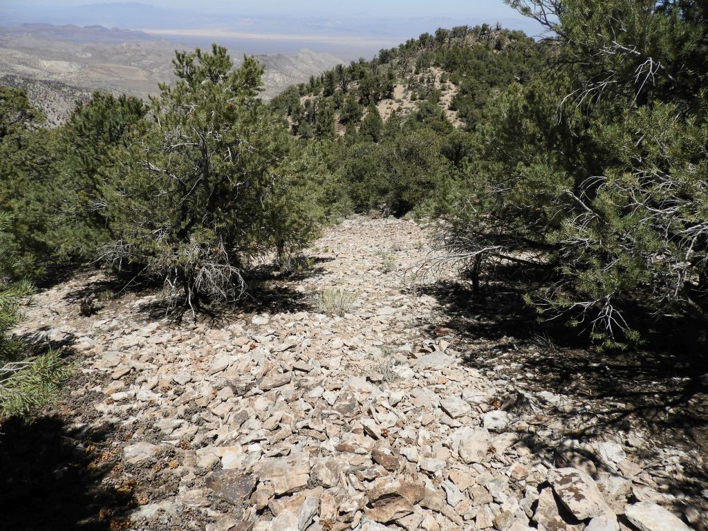 The final four pictures were taken during the hike back.  Here we are trying to angle more into the forest to avoid some of the scree: