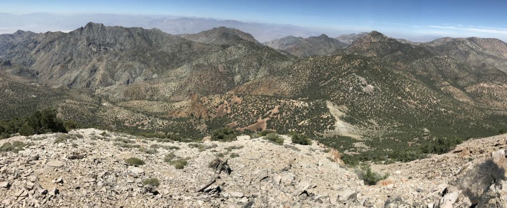 Summit view panoramic showing Mount Palmer, Grapevine Peak, and Coyote BM: