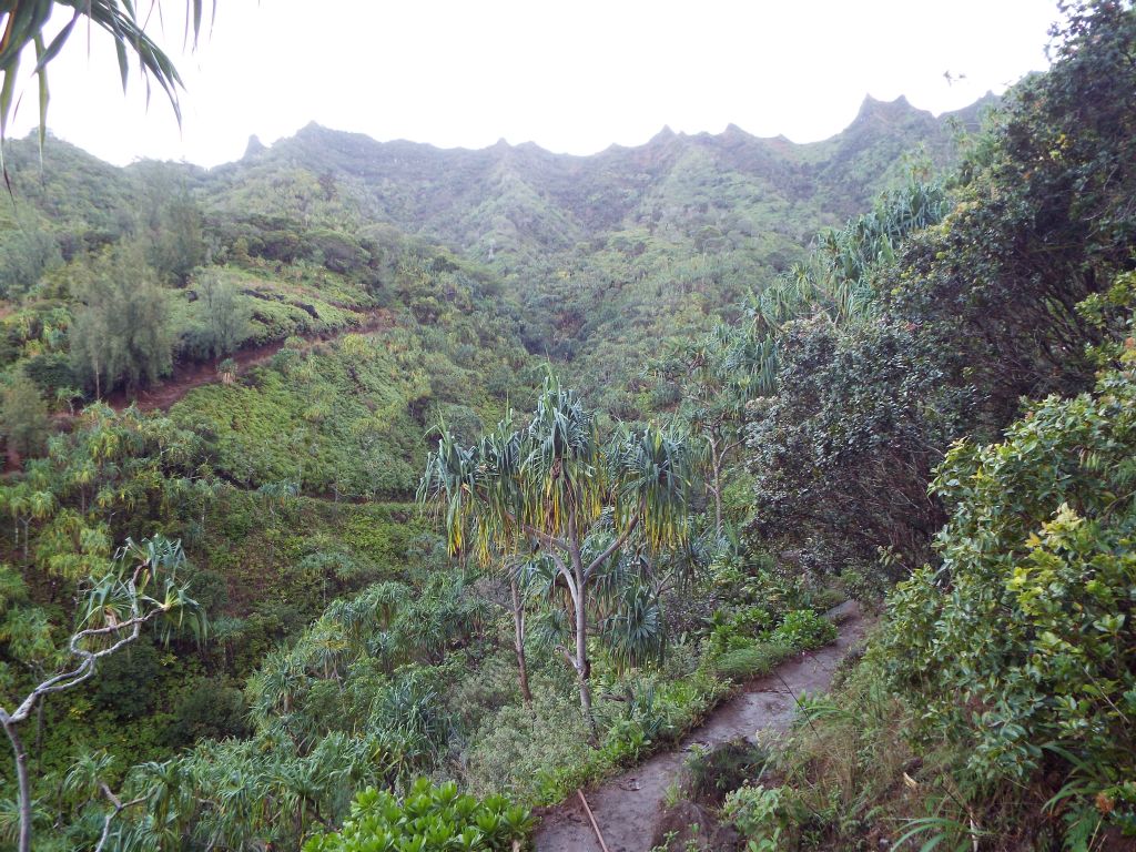 The Kalalau Trail spends a lot of time winding into and out of small valleys: