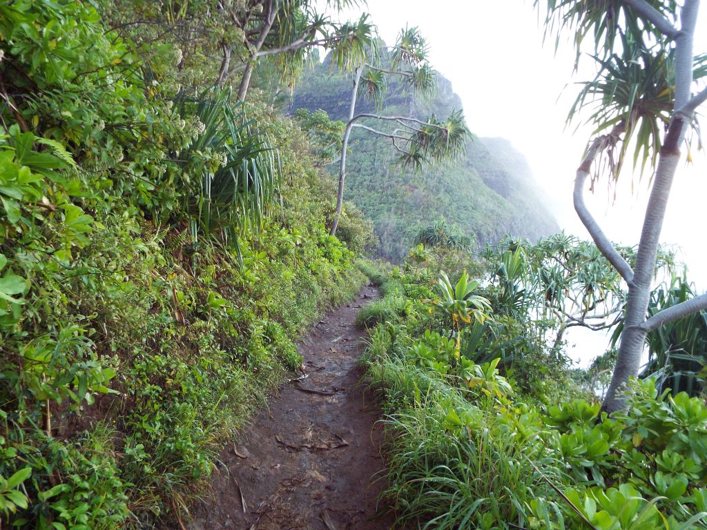 When the trail is not inside valleys, it is usually on cliffs just above the ocean: