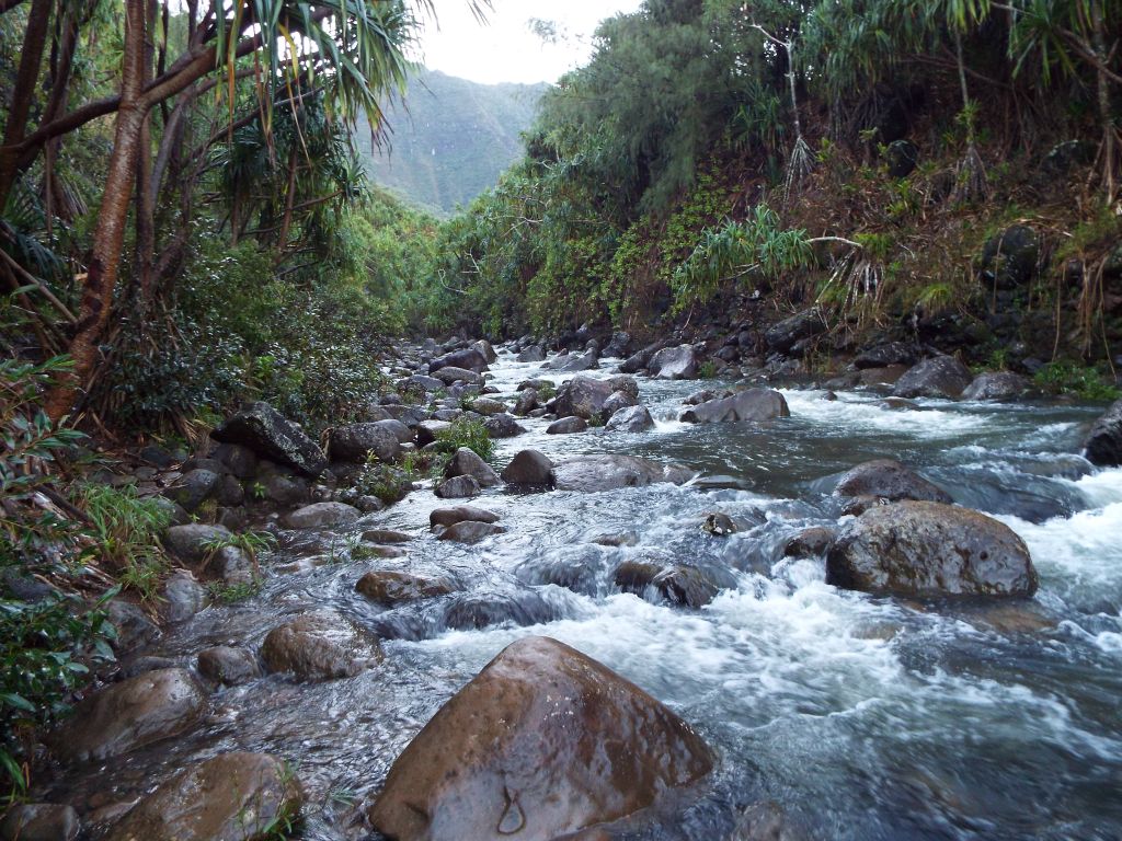 Arriving at Hanakapiai Stream crossing, which is 2 miles into the hike: