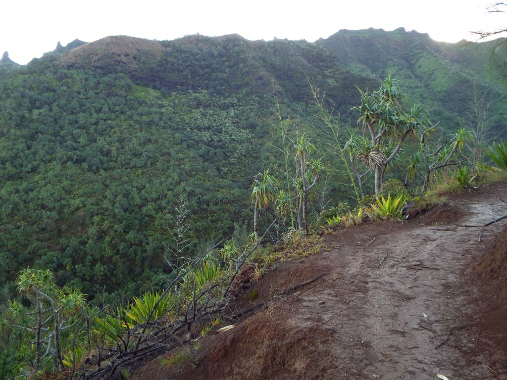 There were also good views back across to the other side of Hanakapiai Valley: