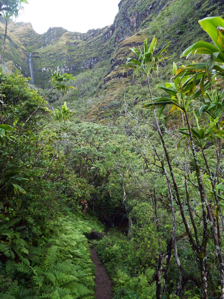 In the next two pictures, the trail winds in and out of Hoolulu Valley: