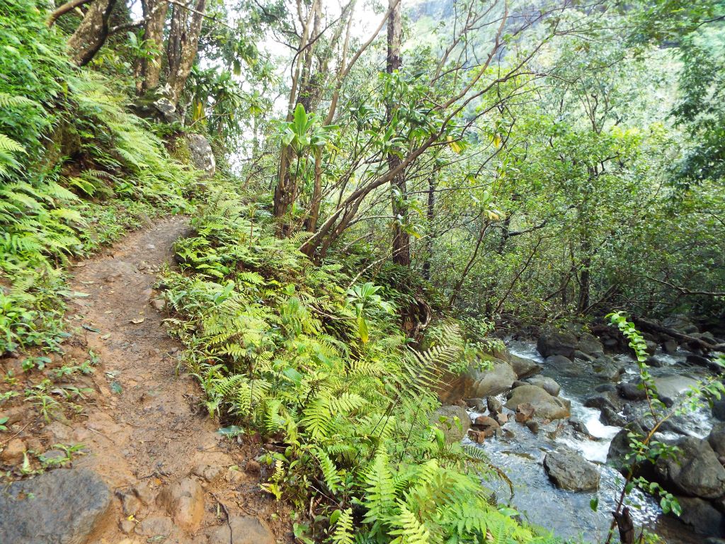 After crossing a stream, the trail heads back out of Waiahuakua Valley: