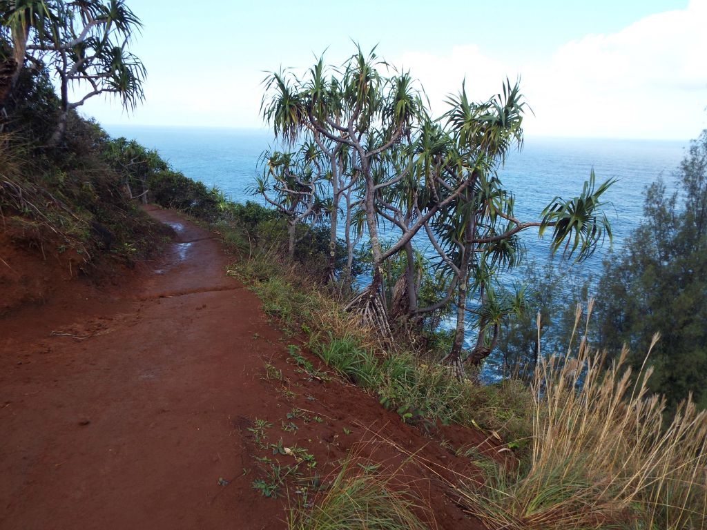 There was lots of mud and water on the trail due to rains the night before: