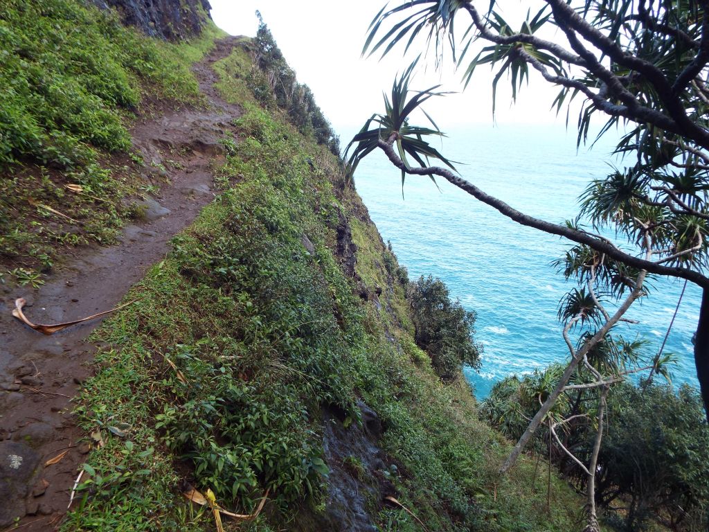 This was the first spot on the trail which was slightly unnerving to hike through, with a quickly rising cliff on the right side: