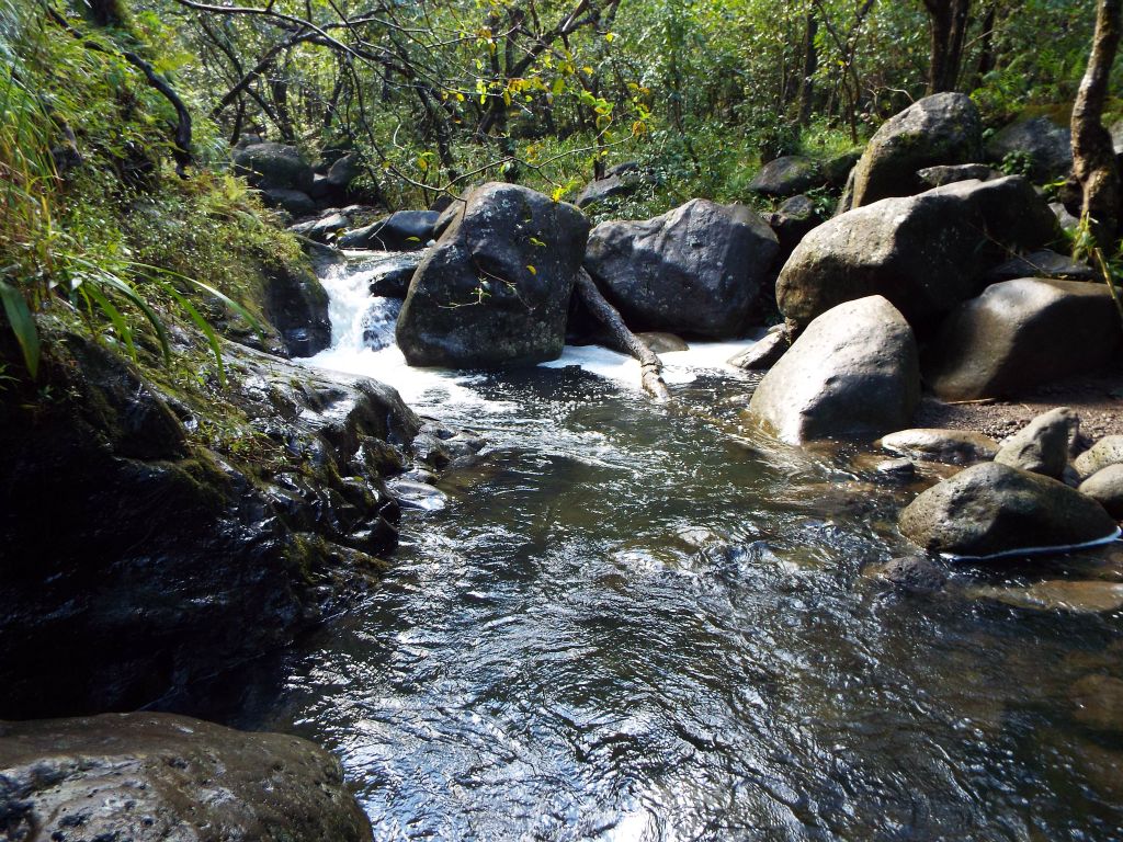 Crossing Hanakoa Stream, the second major stream crossing of the day: