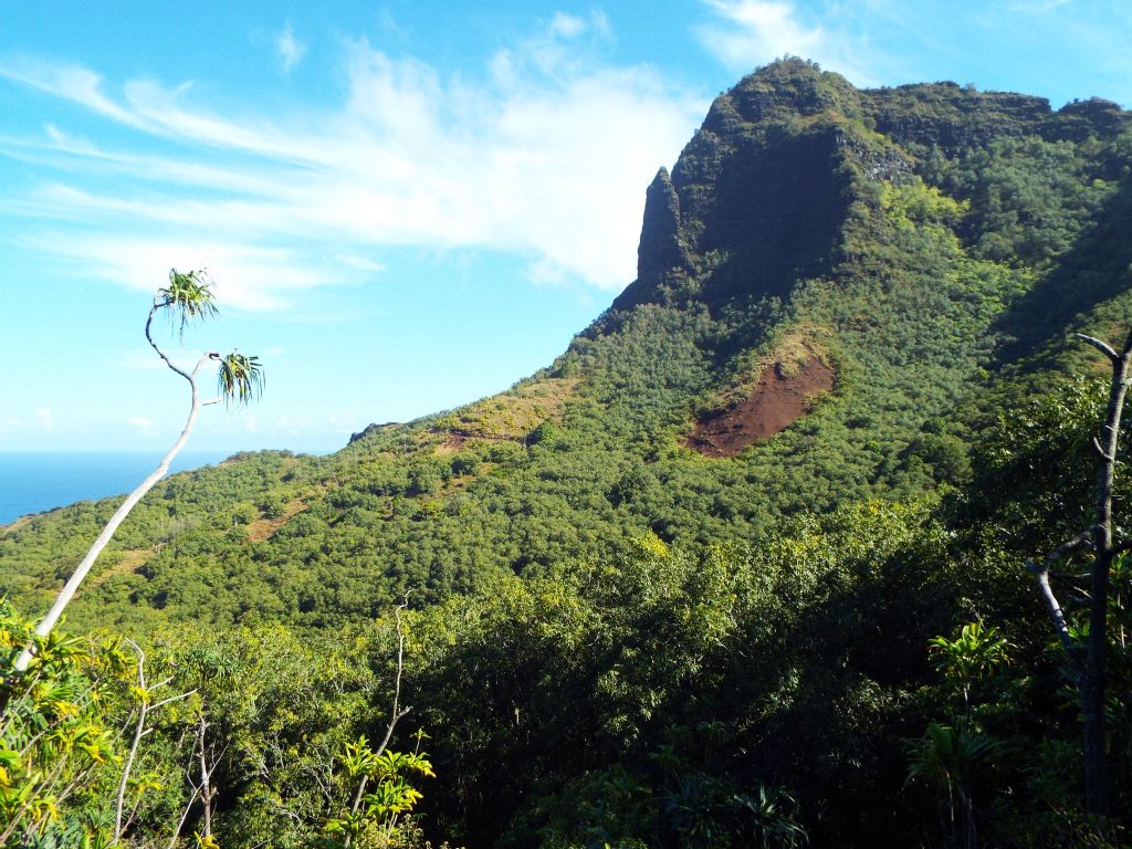 Looking back across Hanakoa Valley from the opposite side.  I couldn't get a lot of pictures of the inner part of Hanakoa Valley due to the sun's location at the time I passed through: