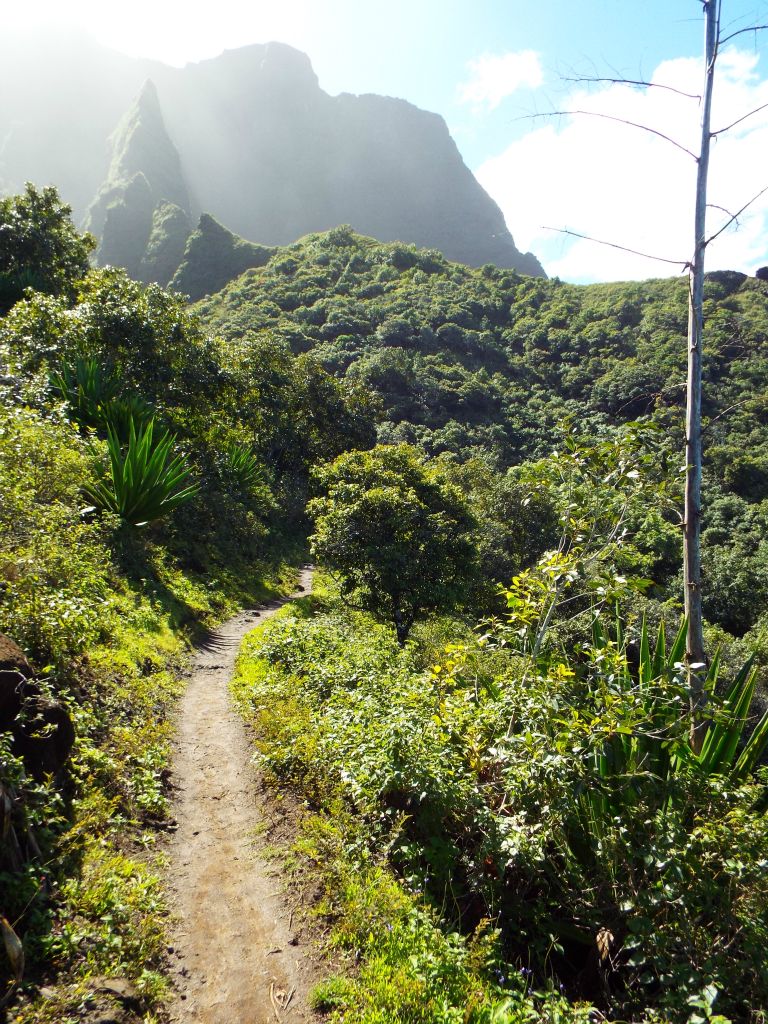 Breathtaking scenery through this area with the sun and clouds creating nice lighting: