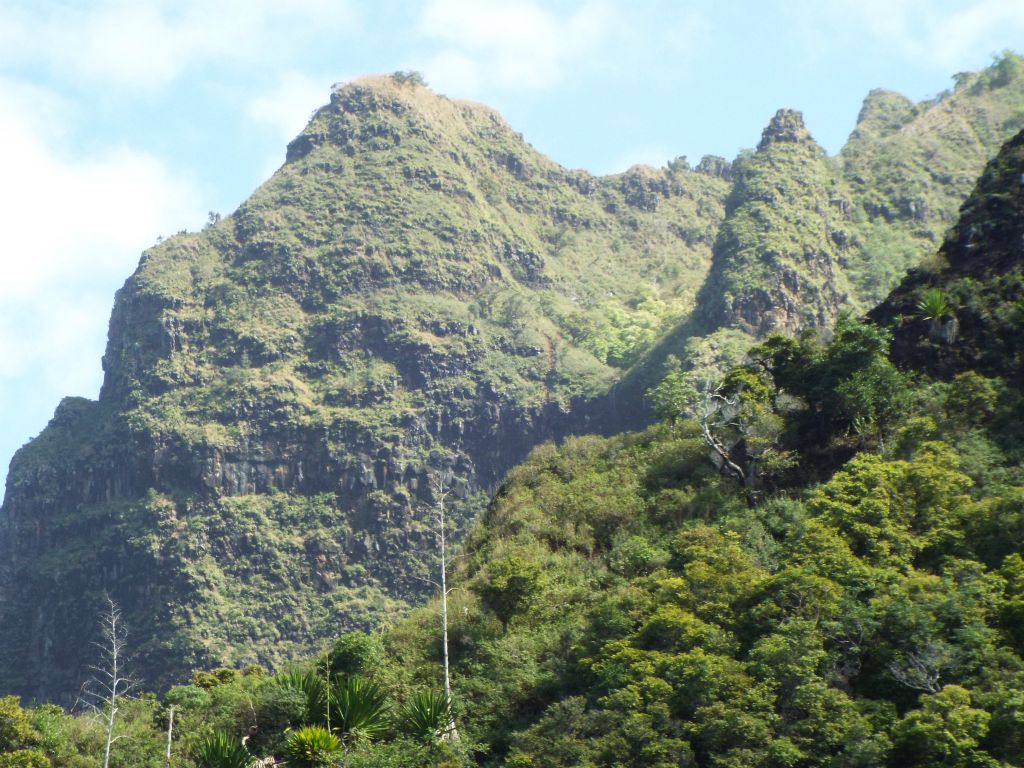 Notice how the plants and trees covered most of the mountainsides: