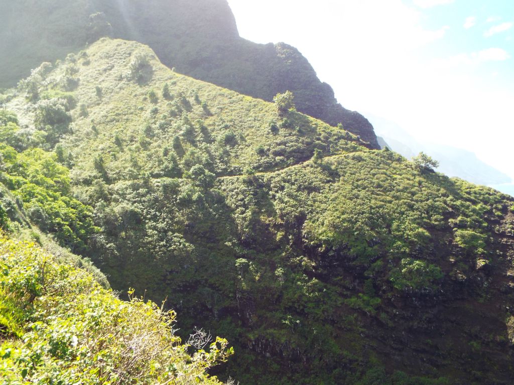 Many times, the next part of the trail was visible on the opposite side of small valleys: