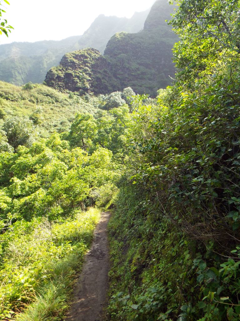 Lush greenery was present throughout the entire trail:
