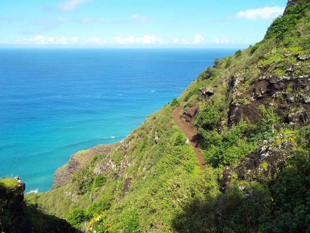 At this point, the trail is about 650 feet in elevation above the ocean: