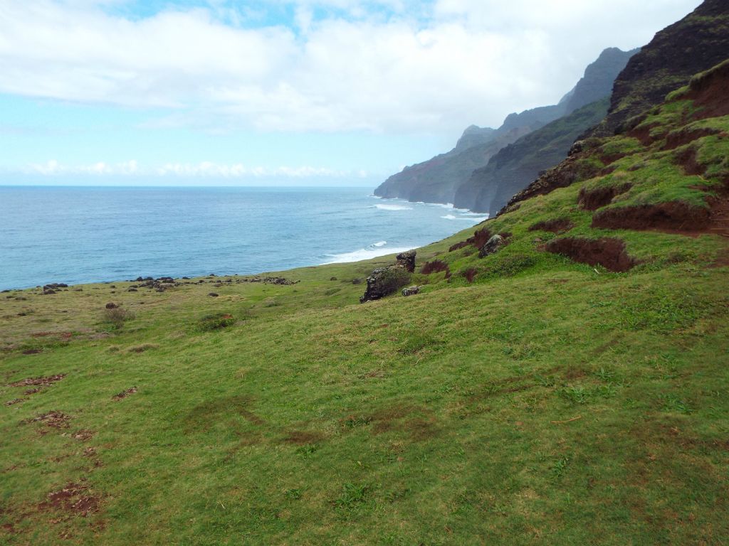 At the bottom of Red Hill is this grassy section:
