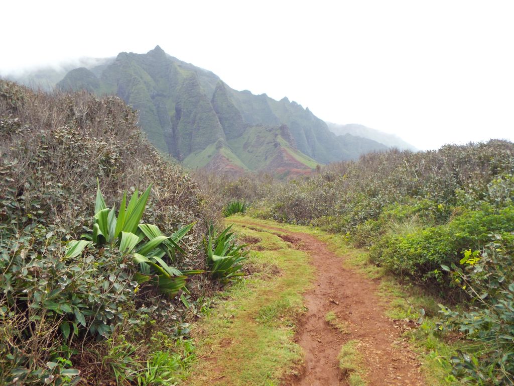The cliffs above Kalalau Valley are the most dramatic yet: