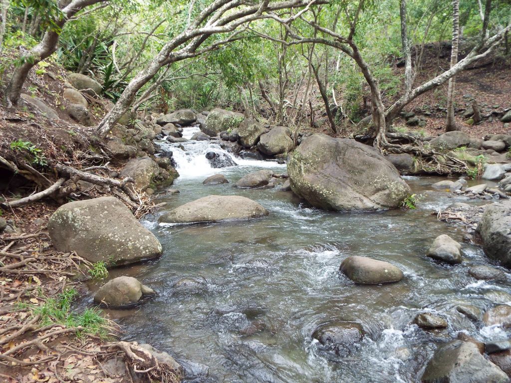 Reaching Kalalau Stream, the third major stream crossing on the trail.  Kalalau Stream is the 10 mile marker on the trail: