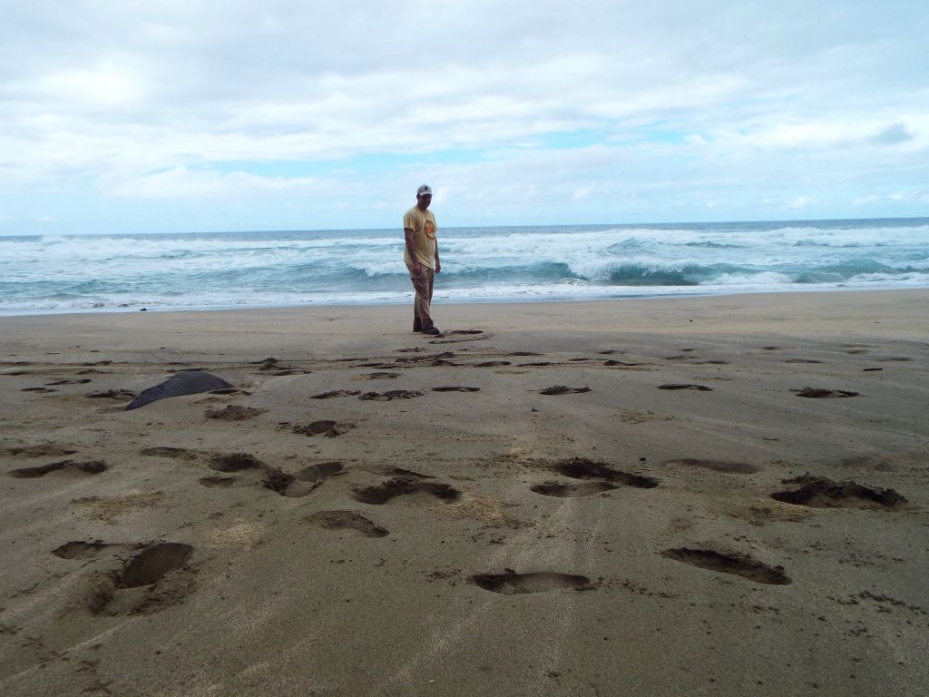 A bonus picture for the slideshow which shows another Kalalau Beach view: