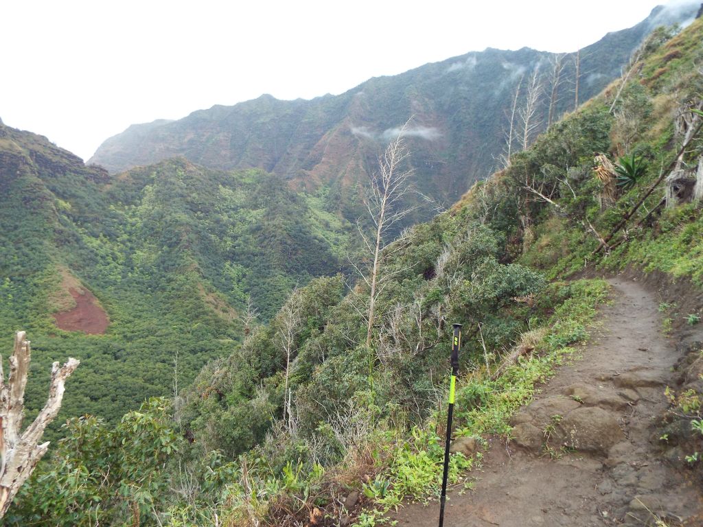 Heading back into Hanakoa Valley after climbing the Muddy Switchbacks:
