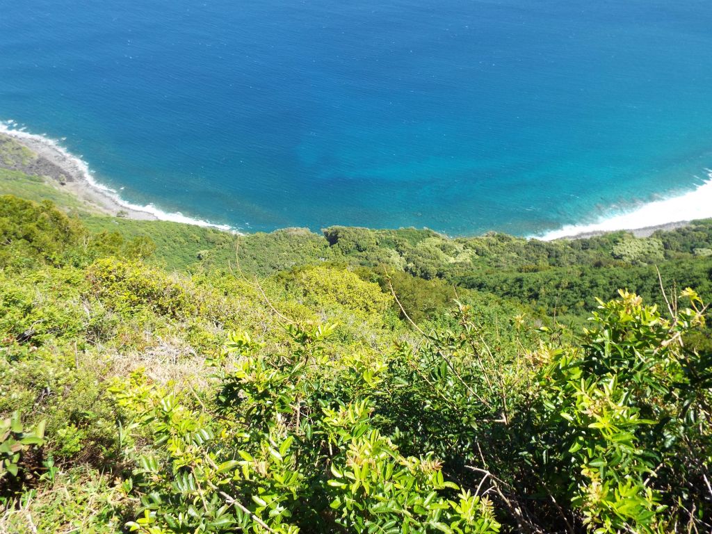 Looking straight down one of the tallest sea cliffs in the world while standing nearly 1,700 feet above the ocean: