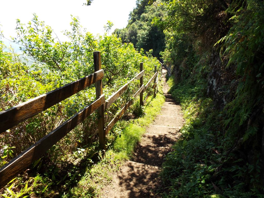 A small wooden guardrail reminds you that there are dangerous cliffs on the left: