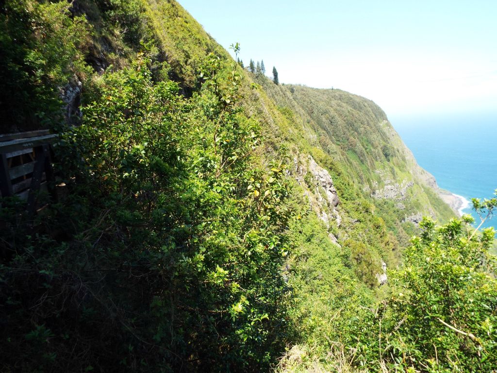 The bridge is visible on the left as the trail quickly changes direction while continuously dropping elevation: