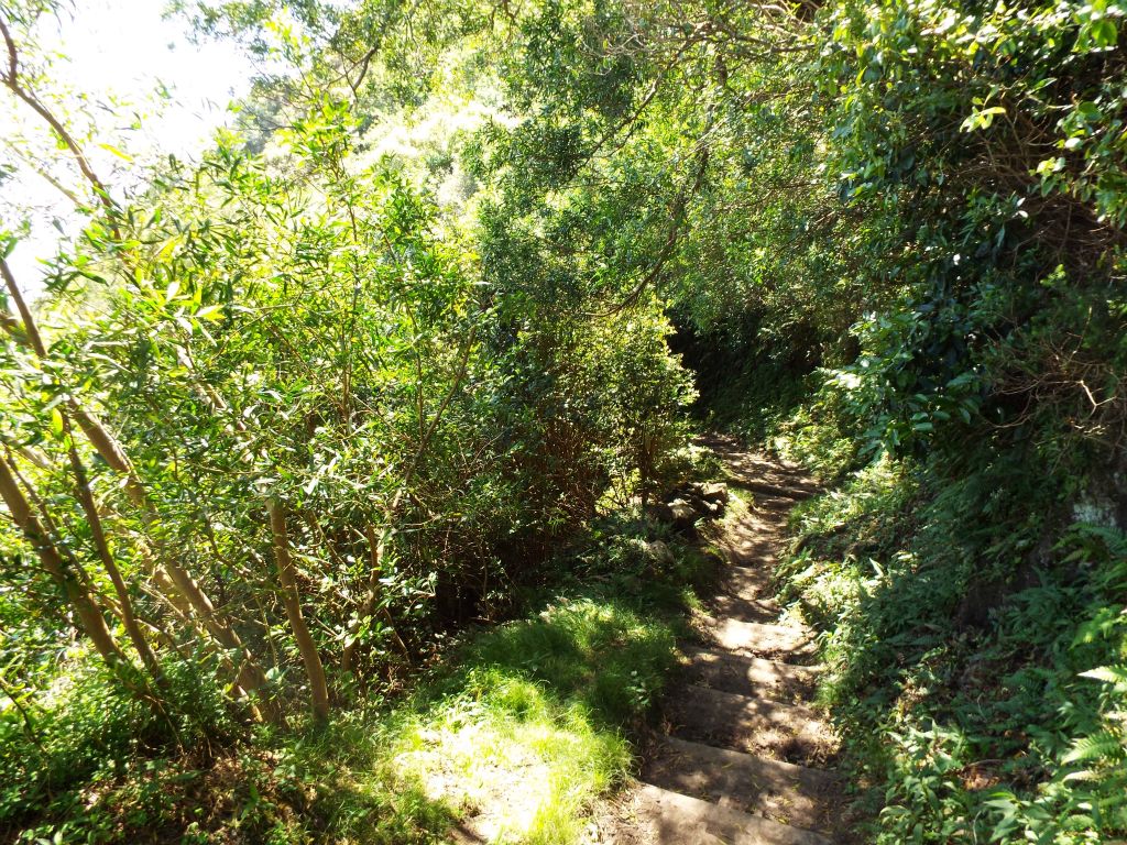 The next three pictures give you an idea as to the steepness of the trail.  Notice that much like many of the trails in Yosemite National Park, the trail here is so steep that steps are cut into it to make it more manageable: