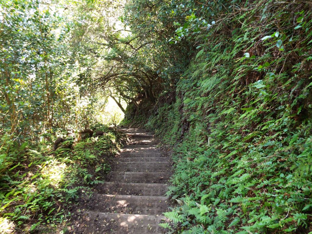 The one thing that is easily forgotten while heading down is that these same steps will have to be climbed back up later: