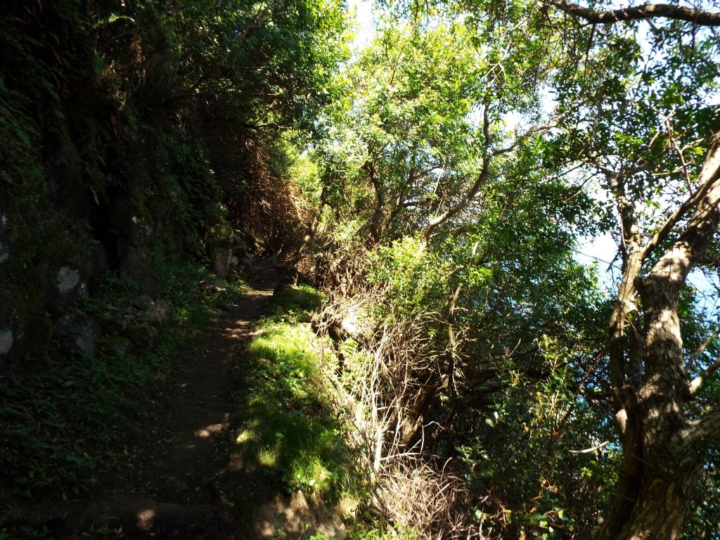 The brief level stretches along the trail always provide a nice break for the knees: