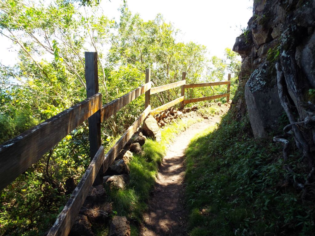 Some stretches of the trail, such as this one, could get quite cramped when mules pass by.  Keep in mind that mule teams always have the right of way when encountered: