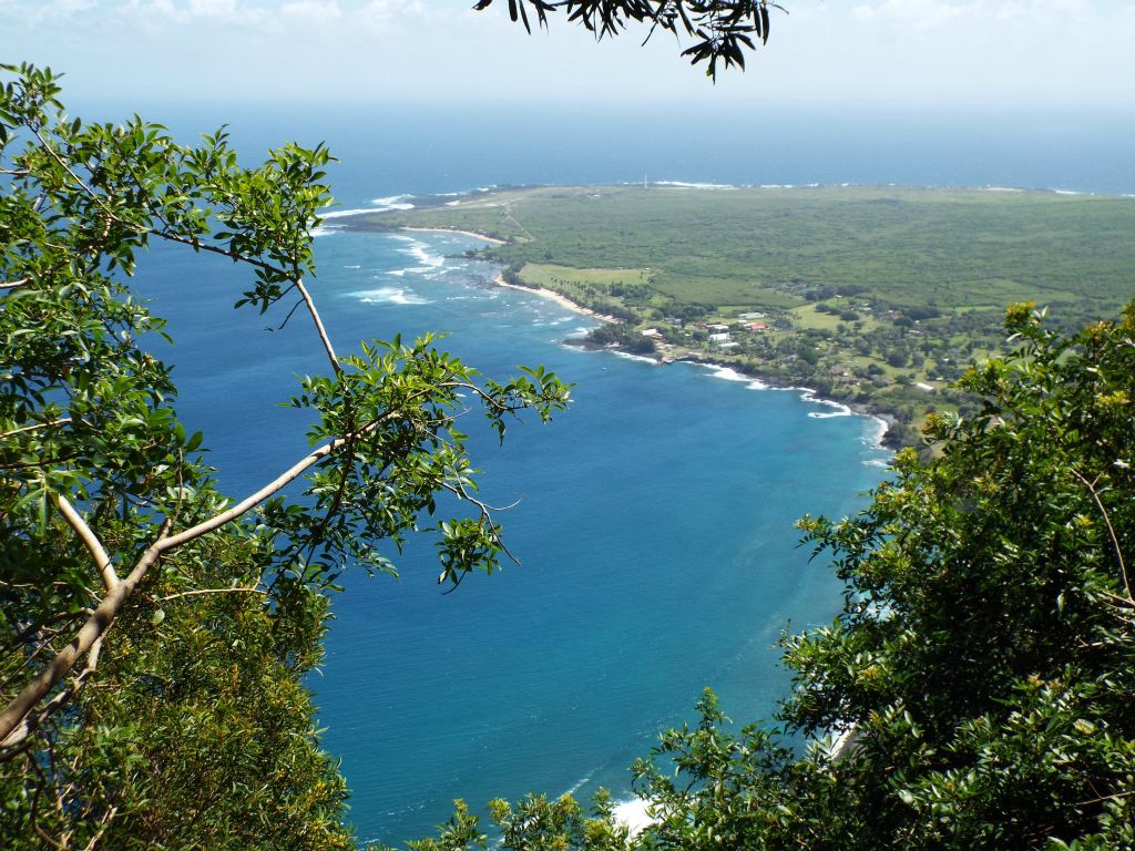 Looking through the brush at the Kalaupapa peninsula, which is starting to look slightly closer:
