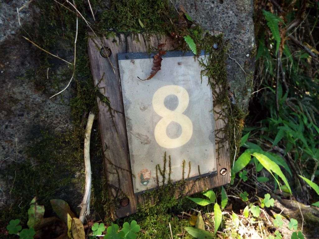 Reaching the #8 switchback marker, which helps you keep track of your progress both going down and coming back up: