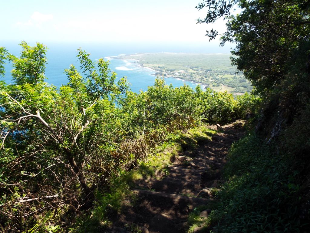 and views like this (where you can see either above the trees or through them):