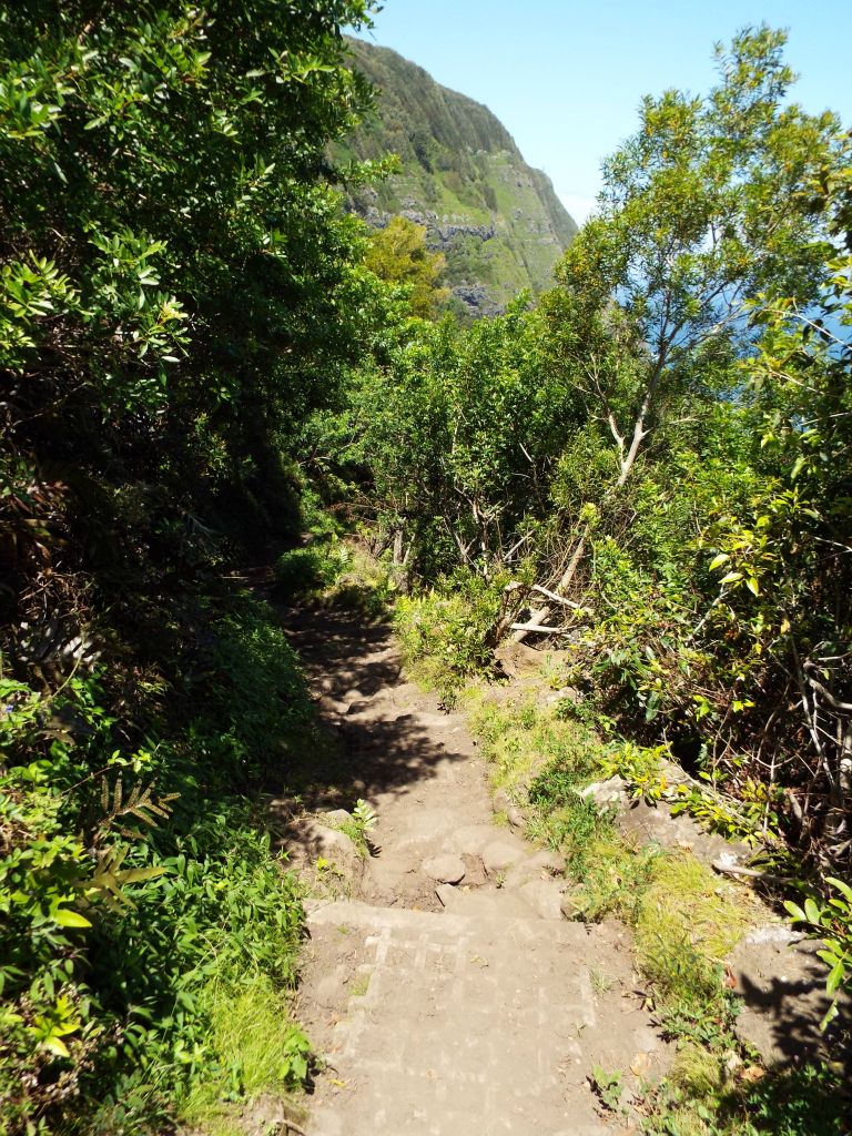 Hiking continuously downhill while dropping 1,700 feet can definitely take its toll, especially with endless steps: